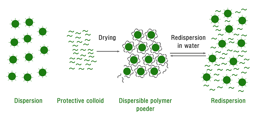 Redispersible-Polymer-Powder